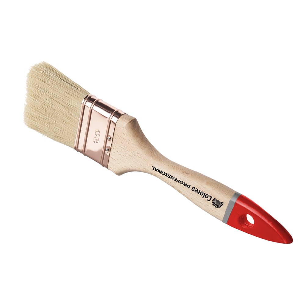 Pennellessa Professionale Colorea Tripla N 60 12 Pezzi - 2