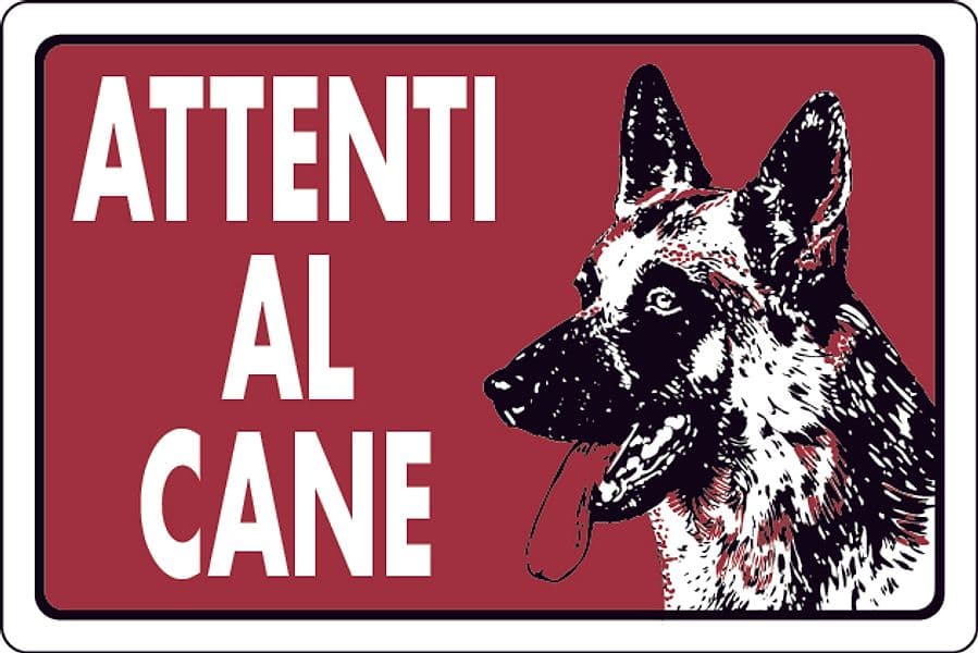 Cartello Segnaletico Attenti al Cane Cm 30 x 20 10 Pezzi – Autres
