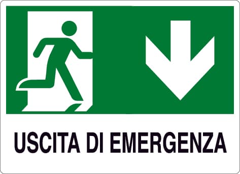 Cartello Segnaletico Uscita di Emergenza Cm 30 x 20 10 Pezzi - 2