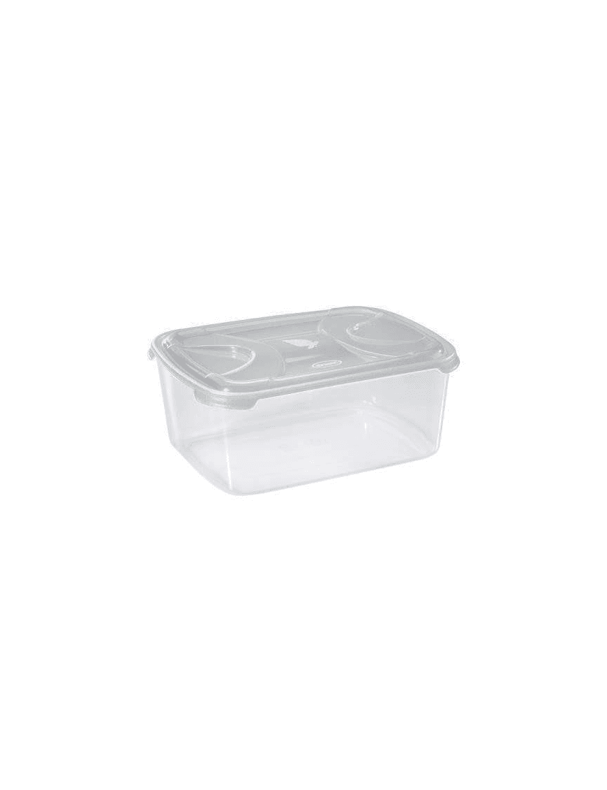 Contenitore Rettangolare Tontarelli Frigo Box Plastica 31 x 24 x 13,4 cm - 2