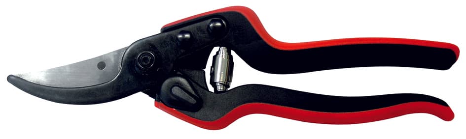 Forbici per Potatura Essentiel 160L Cm 22 Felco - 2