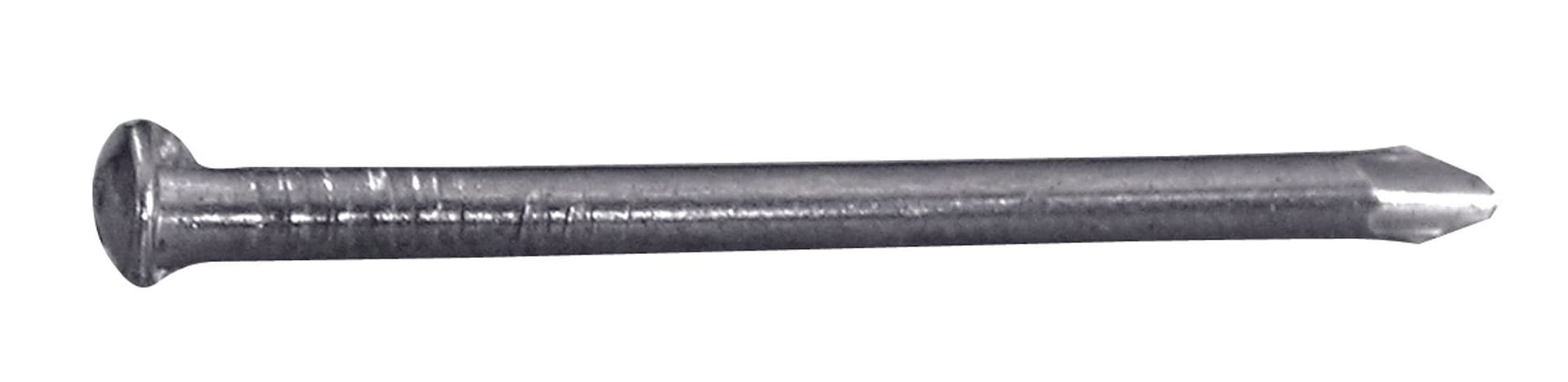 Chiodo in Acciaio Testa Bombata Mm 2 x 25 - 2