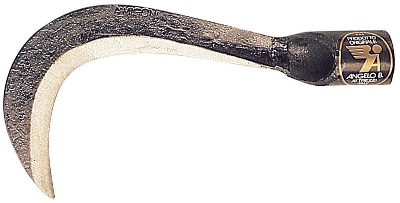 Roncolino per Funghi Cm 12 Angelo B - 2