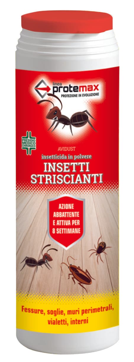 Insetticida in Polvere Gr. 200 12 Pezzi - 2