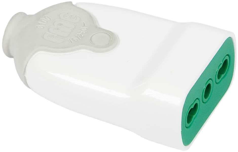Presa Semplice 2P+T 10 16A 5 Pezzi Fanton - 2