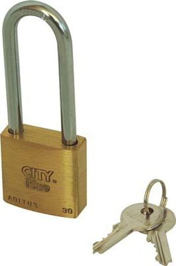 Lucchetto Arco Lungo Aditus Iseo Cromato 30 x 46 mm 10 Pezzi - 2