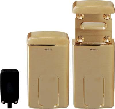 Defender Magnetico MG220 Disec Dm Mm 110X55 Ottone Lucido - 2