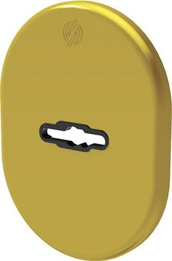 Mostrina Porta Blindata 4301 Securemme Dm Ottone Lucido 82 x 62 mm 5 Pezzi