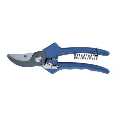 Forbice Pota 149 Due Buoi 22 cm 5 Pezzi - 2