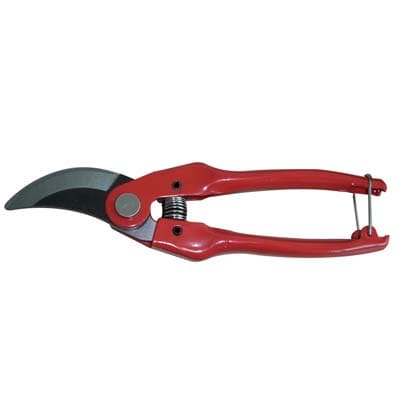 Forbice Pota P126 Stars 19 cm 12 Pezzi - 2
