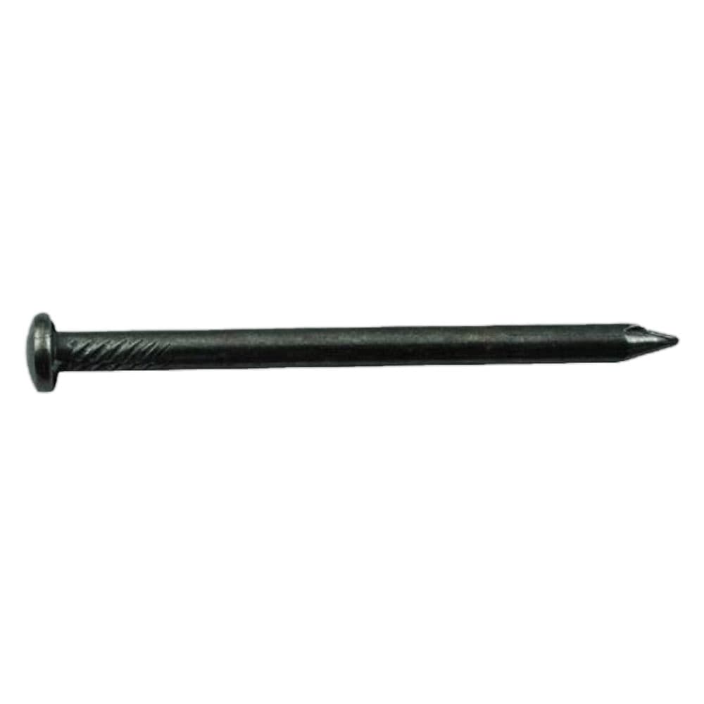 Chiodi a Testa Bombata Tb 2 x 20 2. Cavatorta 5 kg - 2