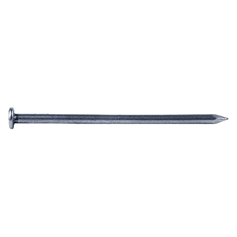 Chiodi Testa Piana Cavatorta Zincati Tp 16 x 60 5 kg - 2