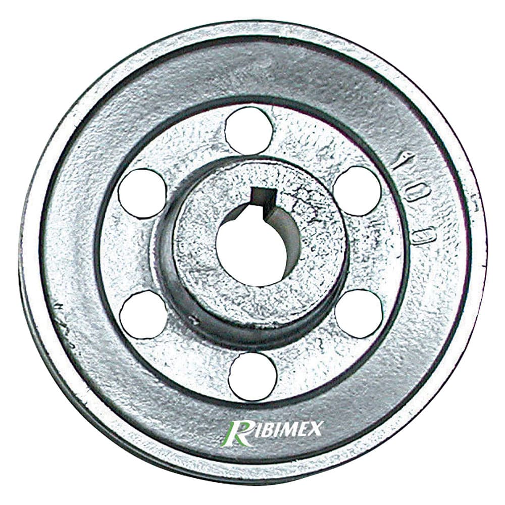 Puleggia per Motore 1 Gola Asse Ribimex Ø 100 19 mm - 2