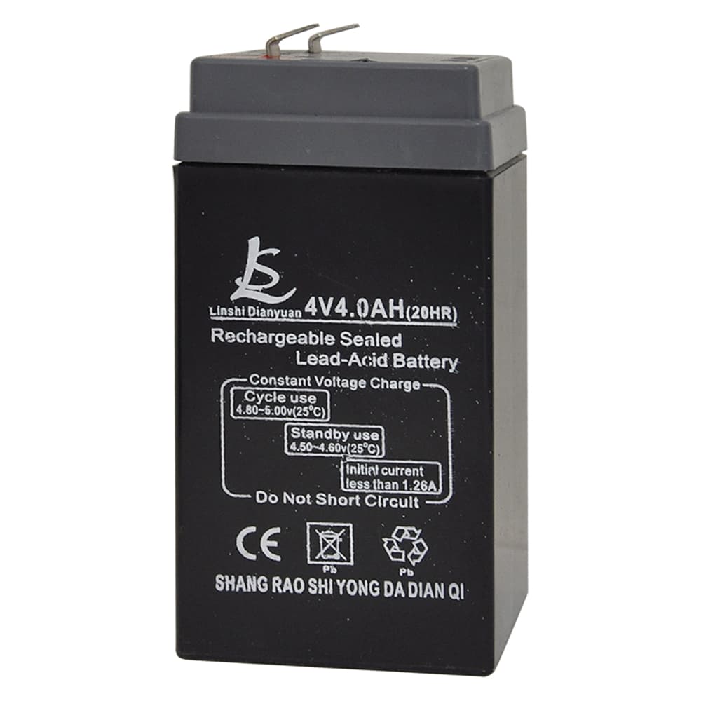 Batteria per Bilico 35 kg 300 kg - 2