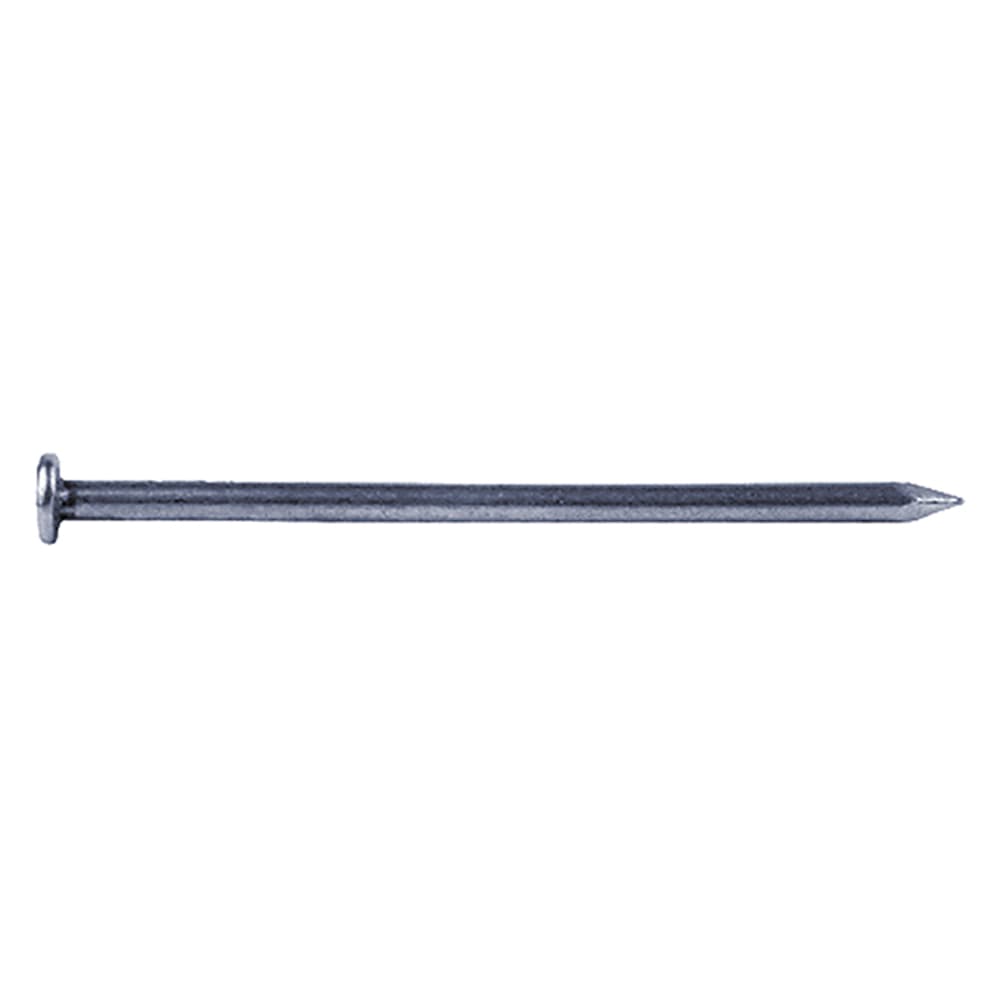 Chiodi Testa Piana 250 gr 2,0 x 30 mm - 2