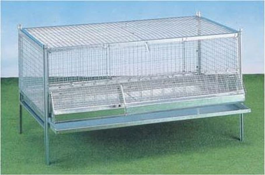 Gabbia Pulcini Antitopo Cm 100X50 H.cm 60 - 2