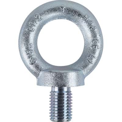 Golfare Maschio Zincato 8040EZ Robur DIN580 M 6 o 14 mm 10 Pezzi - 2