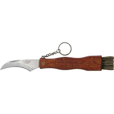 Coltello Serramanico per Funghi De Luca 19 cm 3 Pezzi - 2