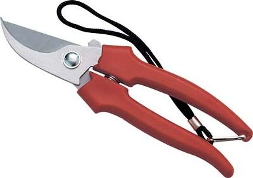 Forbice Raccolta a Mezzaluna Ausonia 19 cm 12 Pezzi - 2