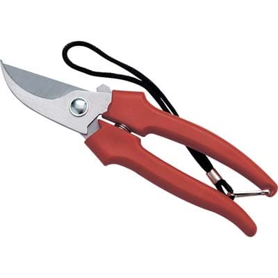 Forbice Raccolta a Mezzaluna Ausonia 19 cm 12 Pezzi - 2