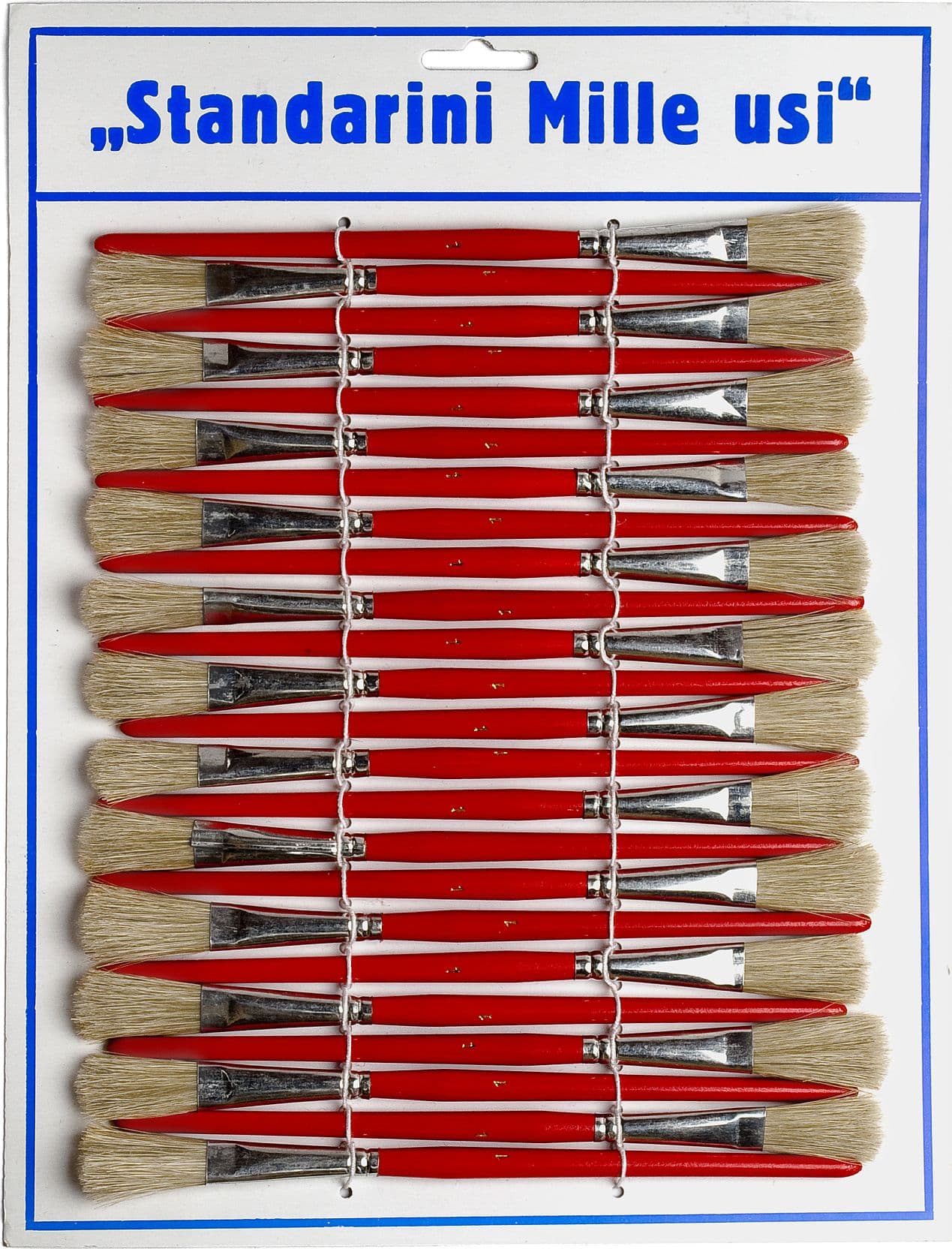 Pennelli Standarini Mille Usi 24 Pezzi – Autres