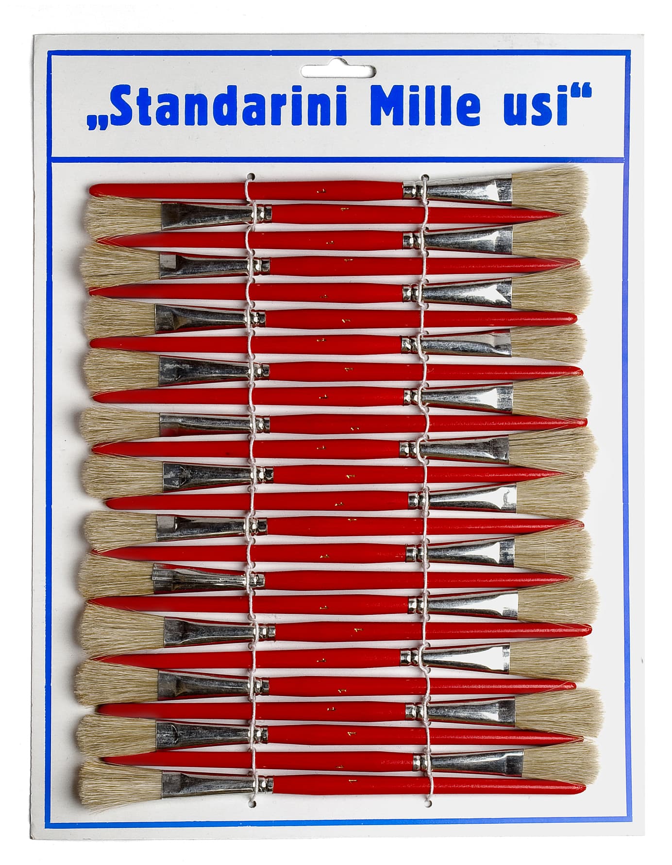 Pennelli Standarini Mille Usi 24 Pezzi - 2