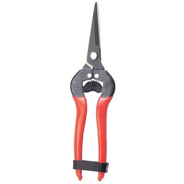 Forbice Raccolta a Punta Stars Dritta 19 cm 6 Pezzi - 2
