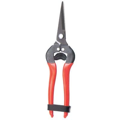 Forbice Raccolta a Punta Stars Dritta 19 cm 6 Pezzi - 2