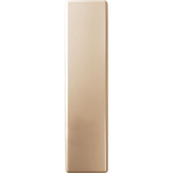 Placca Avvolgitore Cieca Universale ABS Oro 65 x 250 mm 5 Pezzi - 2