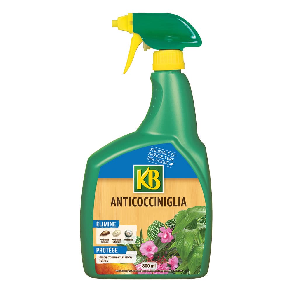 Olio di Colza Anti Cocciniglia Kb 800 ml - 2