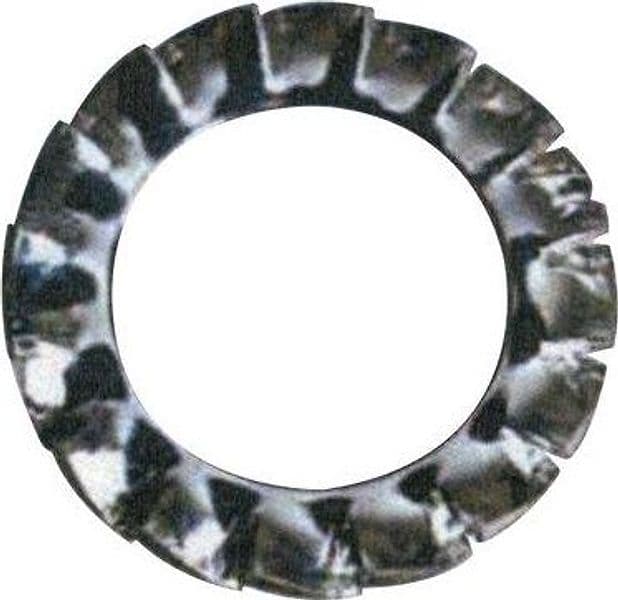 Rondella Dentellata Zincata M 16 500 Pezzi - 2