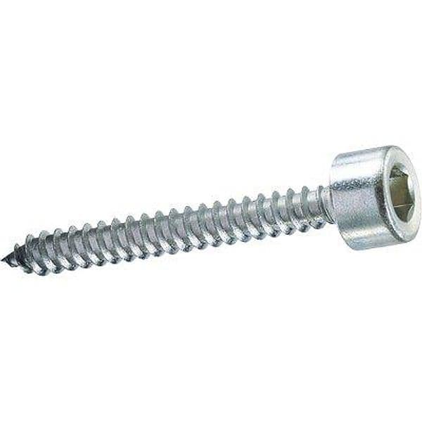 Vite Autofilettante Tcce Ambrovit Zincata Bianca 4,8 x 38 mm 500 Pezzi