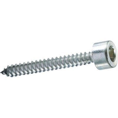 Vite Autofilettante Tcce Ambrovit Zincata Bianca 4,8 x 38 mm 500 Pezzi - 2