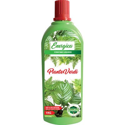Concime Liquido Piante Verdi Energica 1 kg 6 Pezzi - 2