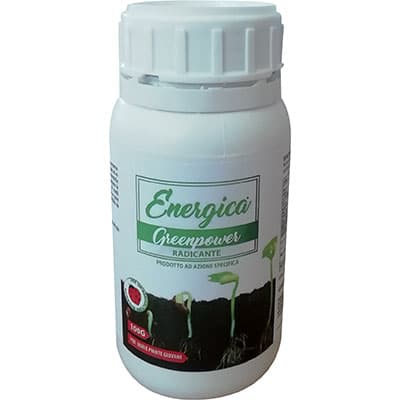 Radicante Polvere Energica 100 g 12 Pezzi - 2