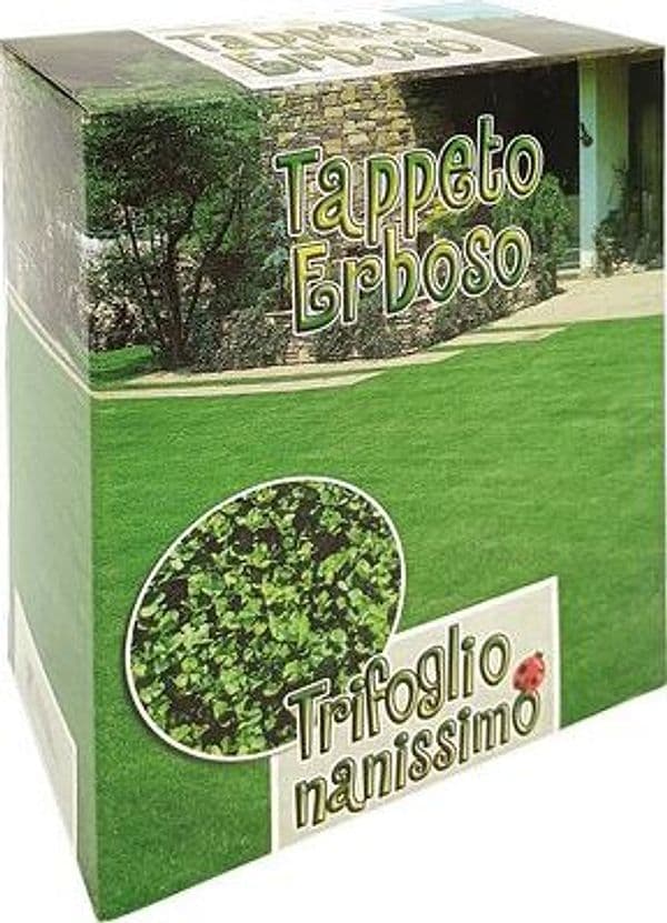 Seme Prato Trifoglio Repens Nanissimo 500 g 2 Pezzi - 2