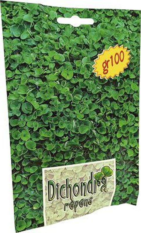 Seme Prato Dichondra Repens 100 g 3 Pezzi - 2