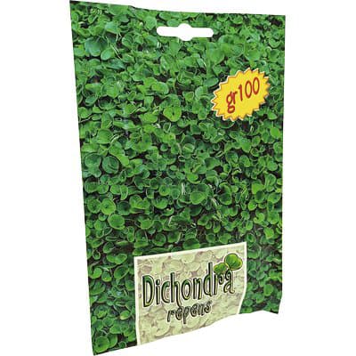 Seme Prato Dichondra Repens 100 g 3 Pezzi - 2