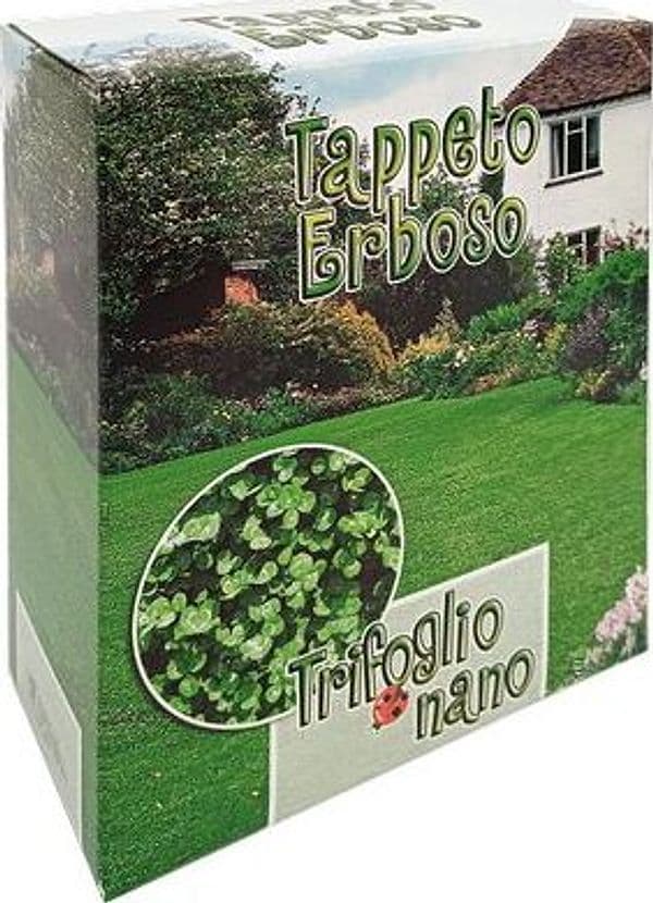 Seme Prato Trifoglio Repens Nano 500 g 2 Pezzi - 2