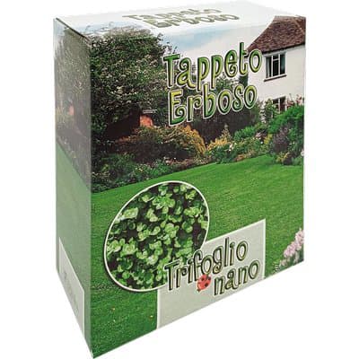 Seme Prato Trifoglio Repens Nano 500 g 2 Pezzi - 2