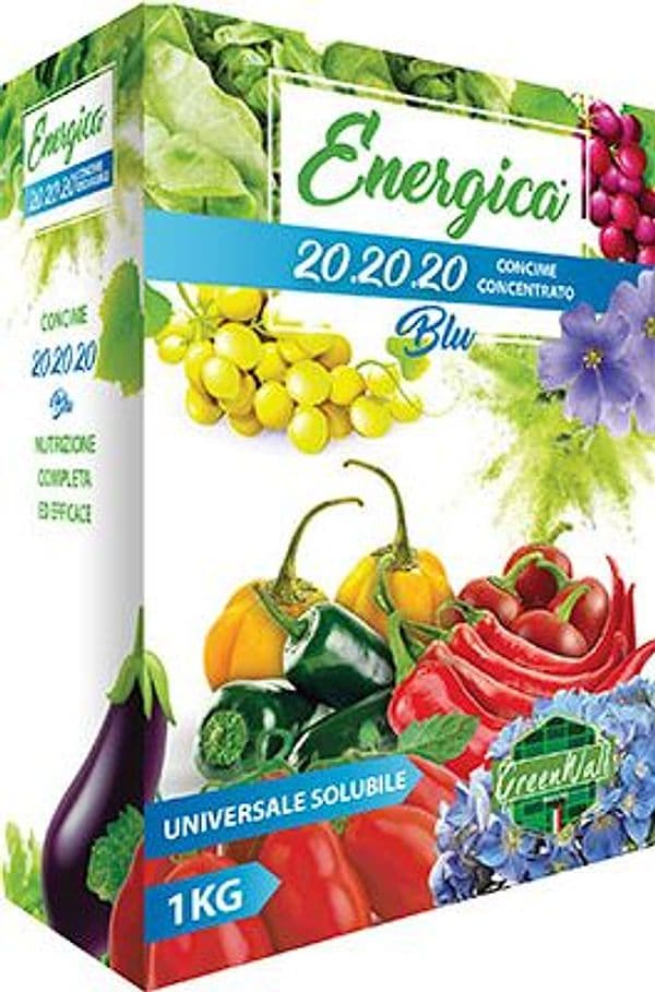 Concime Polvere Blu 20.20.20 Energica 1 kg 6 Pezzi - 2