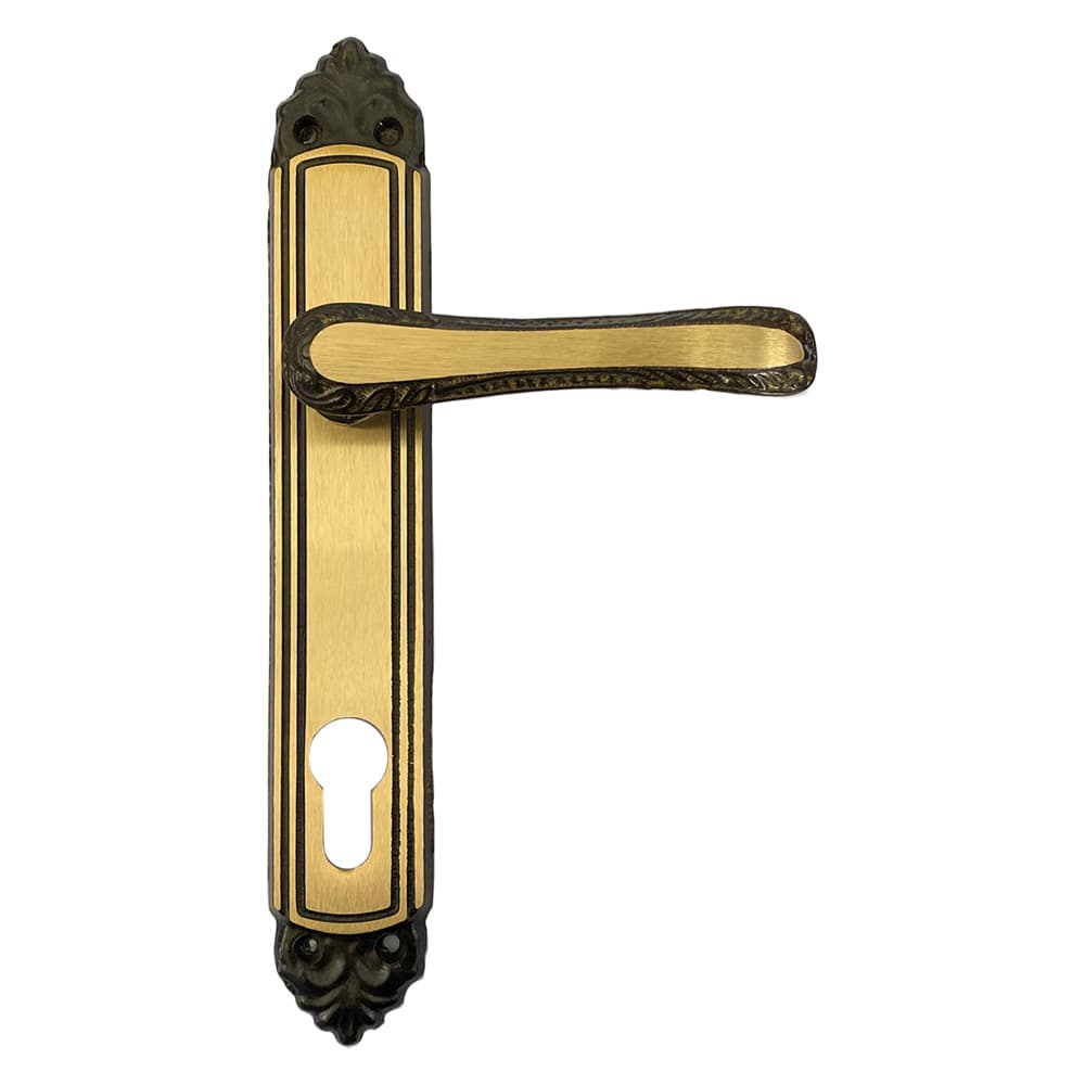 Maniglia con Placca Yale Foro Yale Q8 4 Coppia Giglio - 2