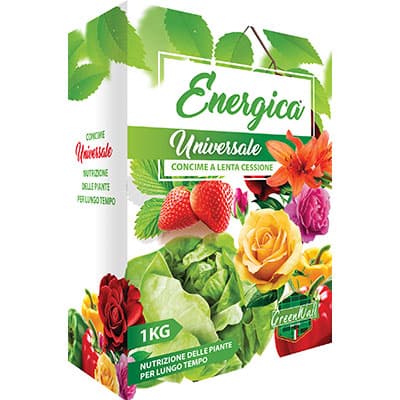 Concime Granulare Lenta Cessione Univers Energica 1 kg 3 Pezzi - 2
