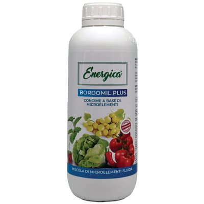 Concime Liquido Bordomil Plus Energica 300 g 2 Pezzi - 2