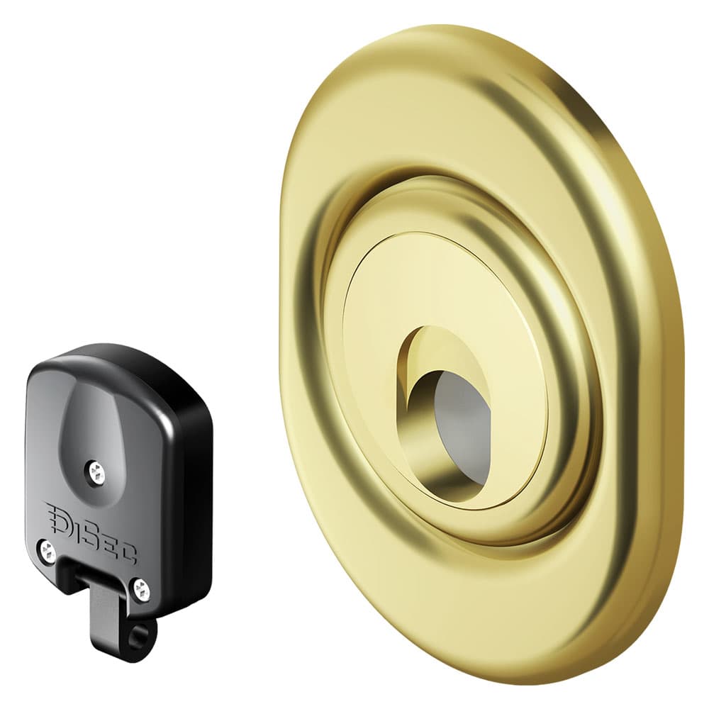Defender Magnetico per Serrature Atra Disec Mag 3G 3M Acciaio Croma - 2