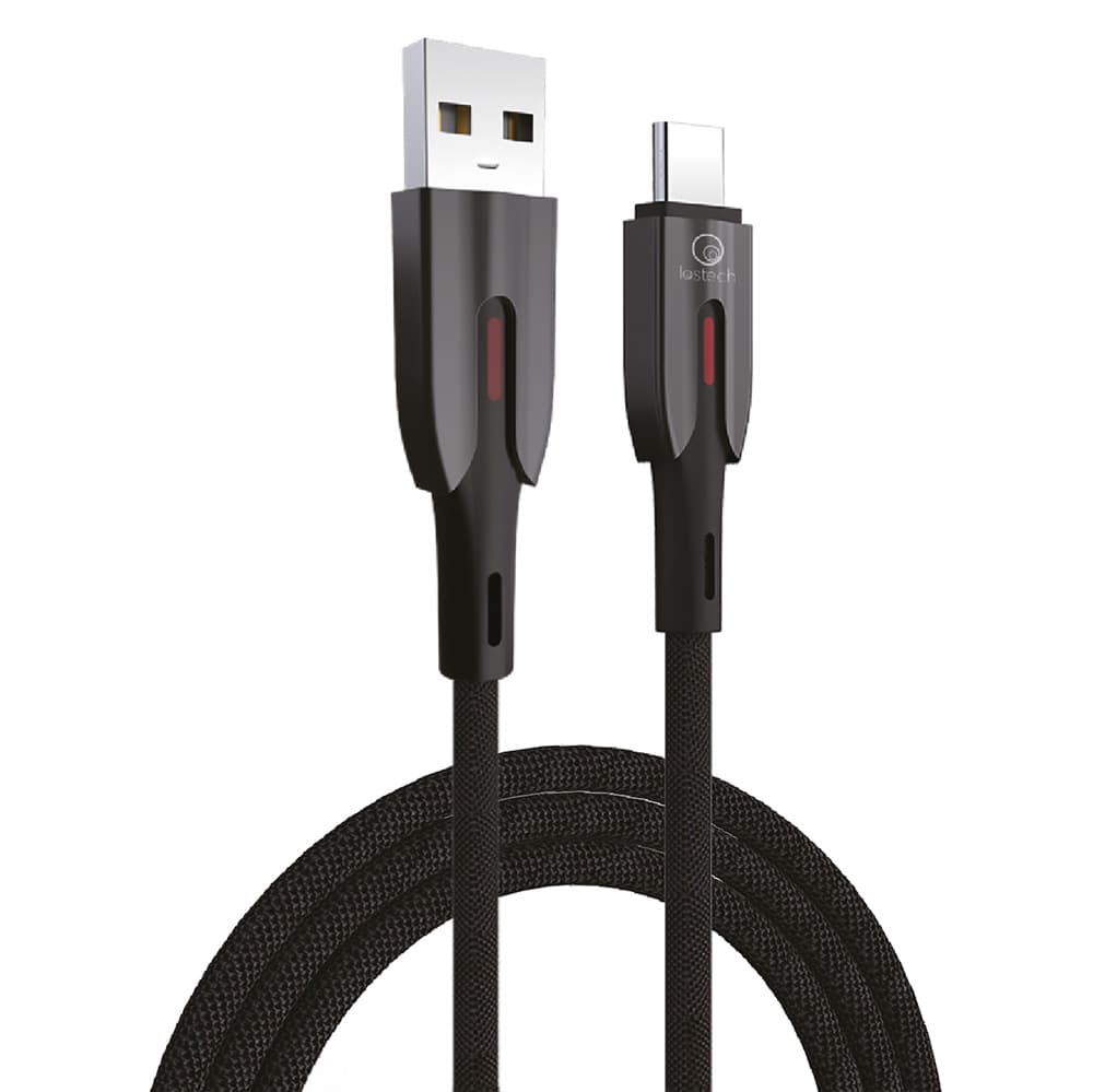 Cavetto per Tablet USB Tipo C Lightning Apple ( Lostech Carica Rapida 30W) - 2