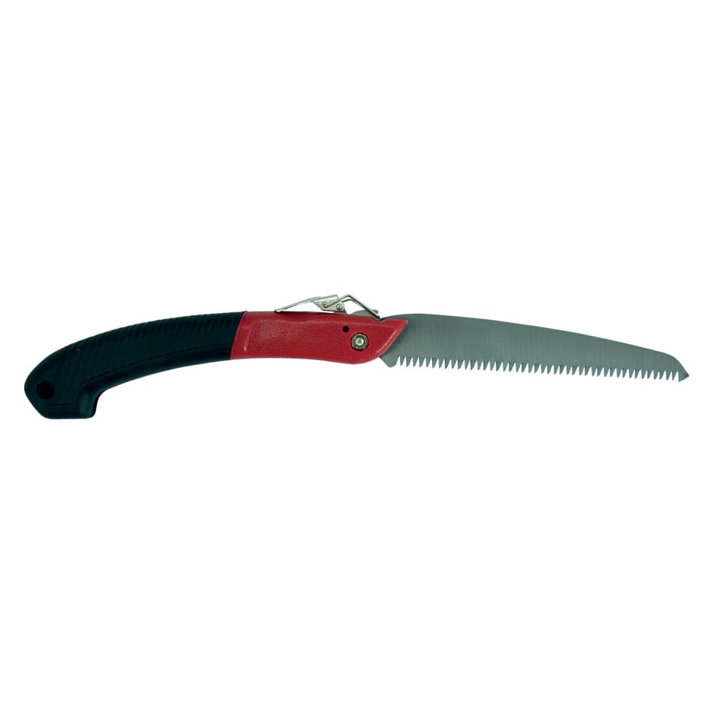 Segaccio a Serramanico Lif 18 cm - 2