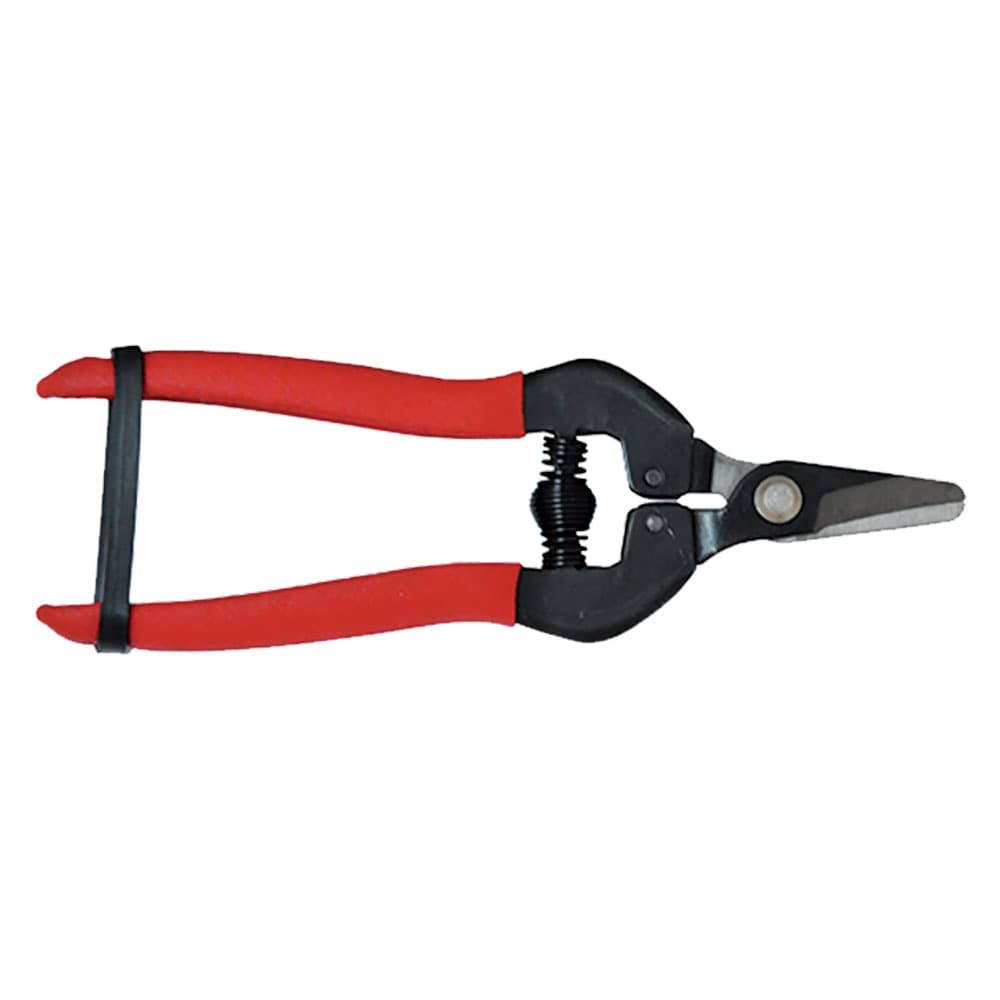 Forbici Cogliuva Lif 16 cm - 2