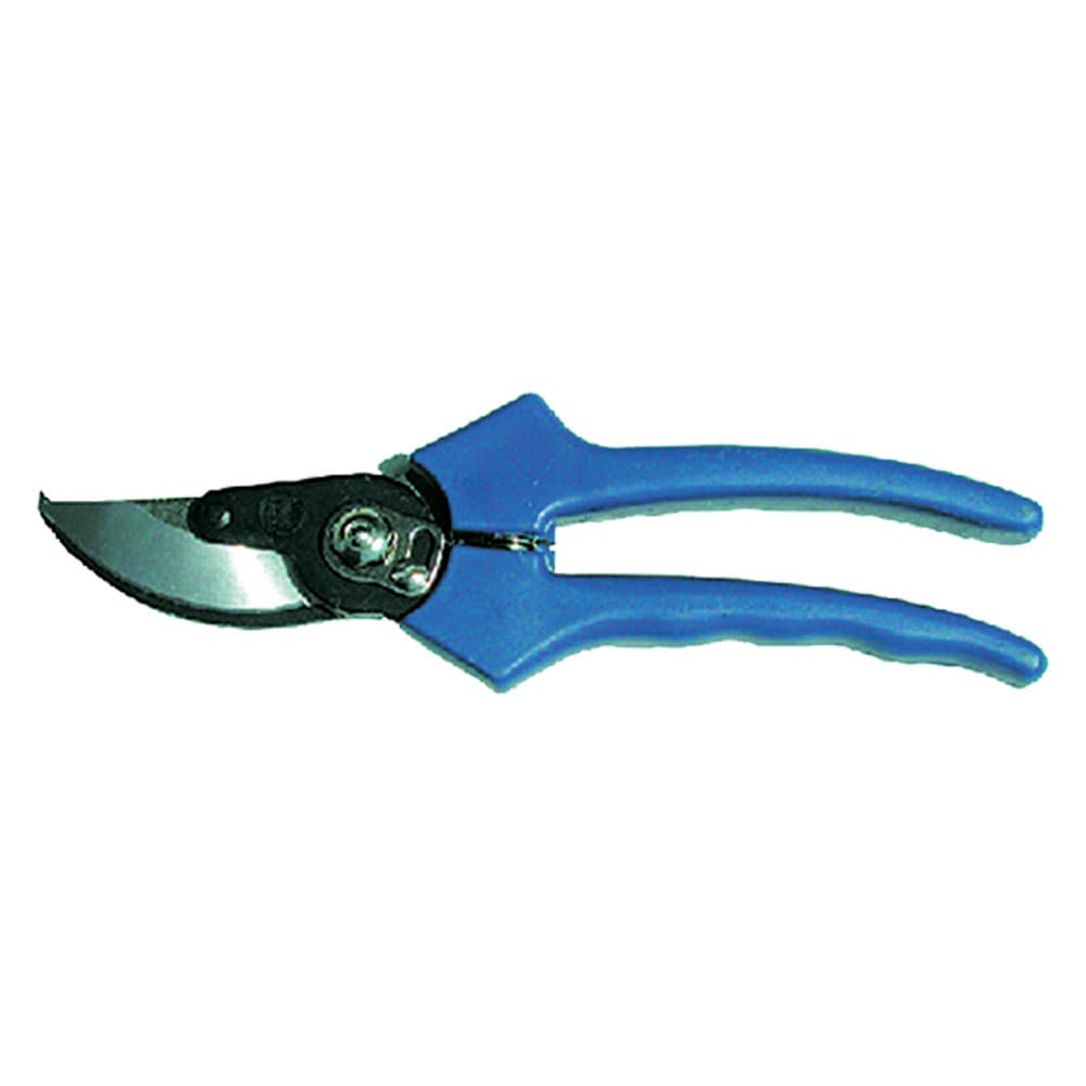 Forbici da Pota Due Buoi Rura 149 22 22 cm - 2
