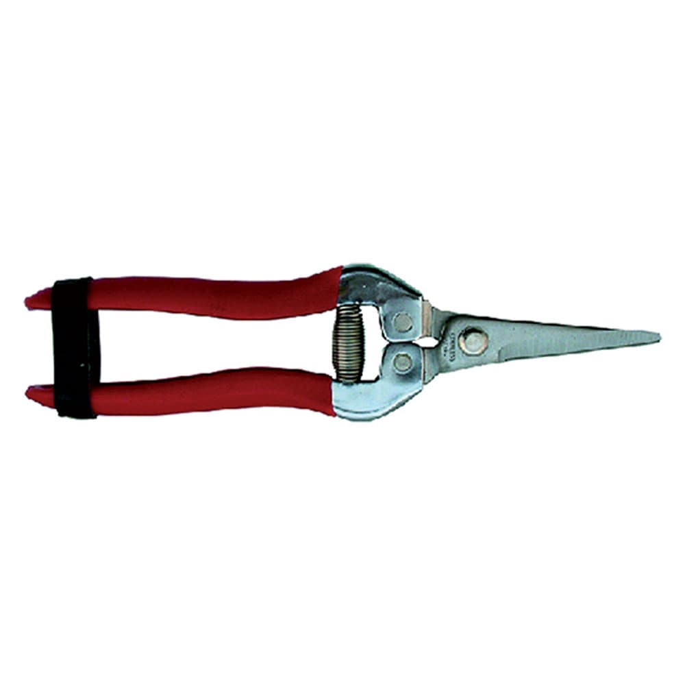 Forbici Cogliagrumi Falci 19 cm - 2